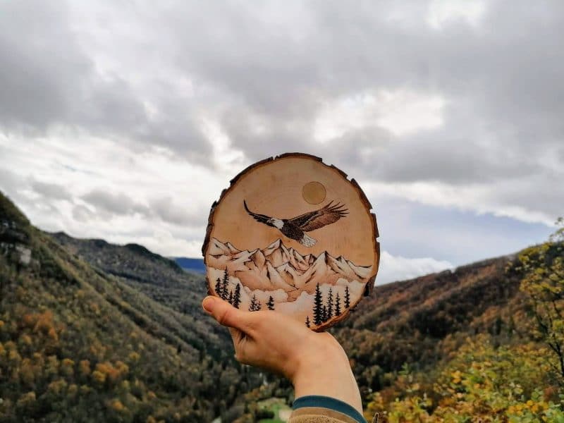 Pyrogravure sur bois aigle royal volant sur la vallee artiste animalière eagle flying over the valley
