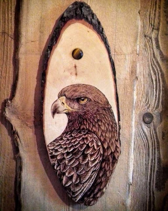 Pyrogravure sur bois portrait aigle