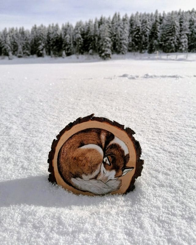 Pyrogravure sur bois chien de traineau qui dort en boule artiste animalière sleddog