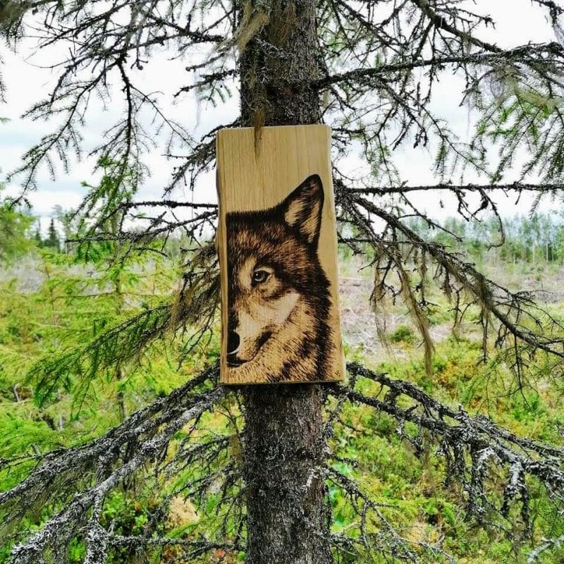 Pyrogravure sur bois portrait demi loup artiste animalière