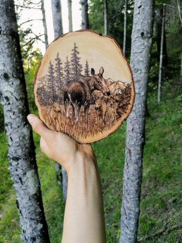 Pyrogravure sur bois orignal elan artiste animalière moose