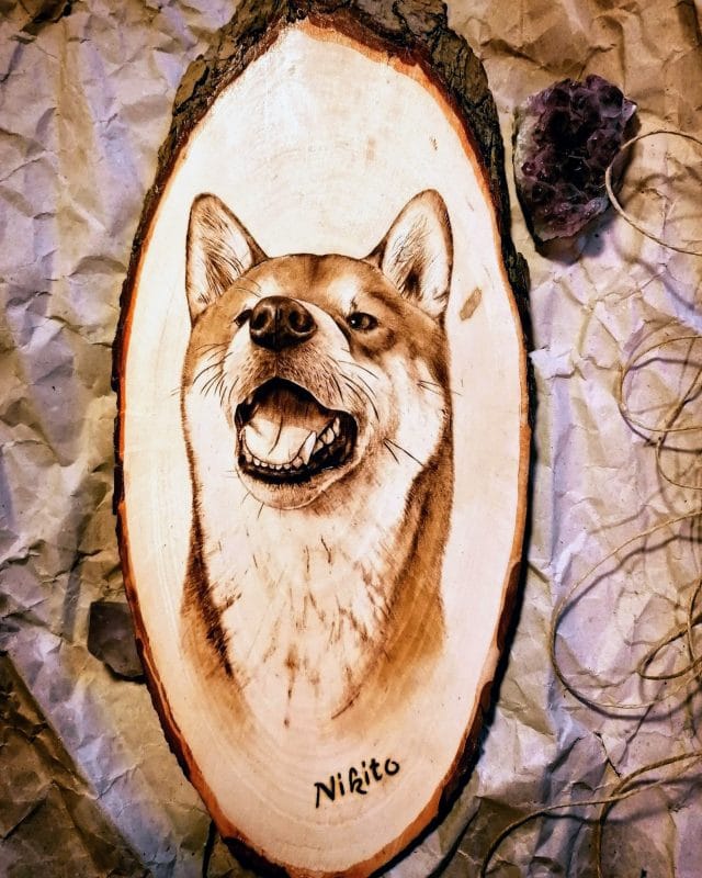 Pyrogravure sur bois portrait de chien shiba inu artiste animalière