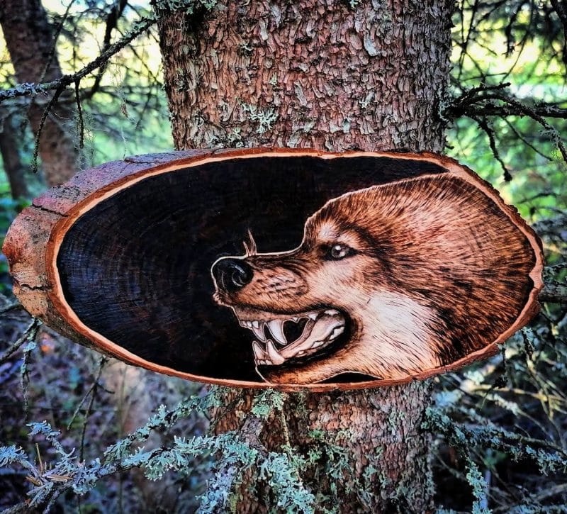Pyrogravure sur bois portrait loup qui grogne artiste animalière wolf