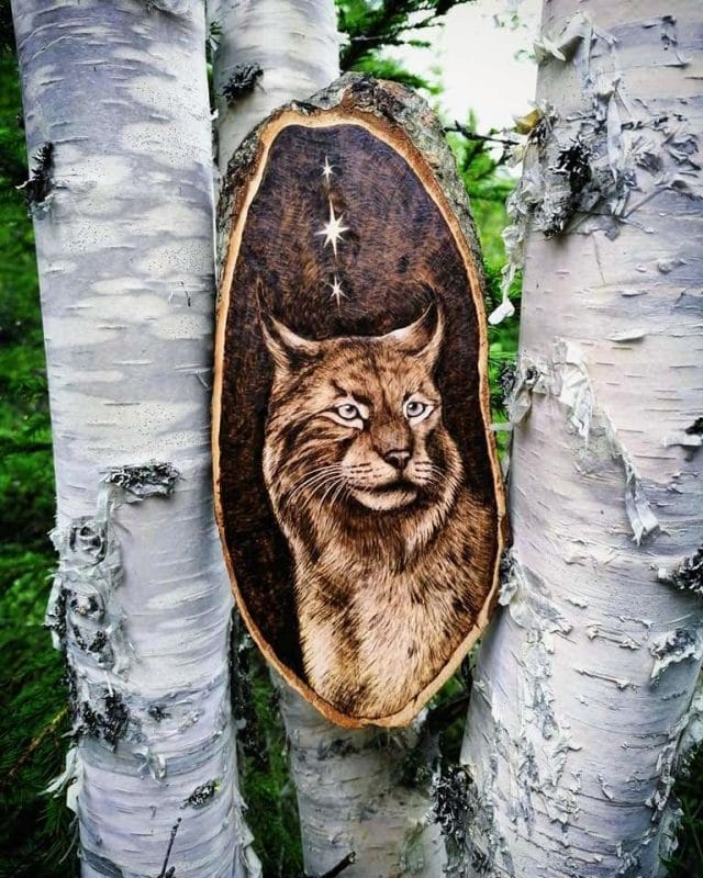Pyrogravure sur bois portrait lynx artiste animalière
